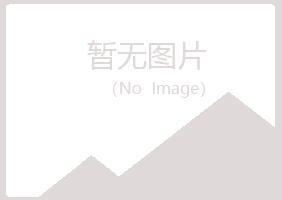 绵阳涪城盼夏咨询有限公司